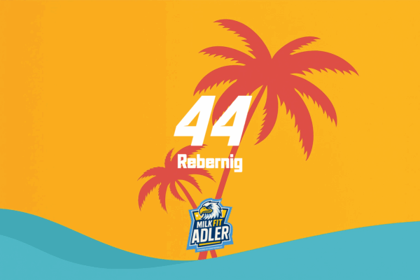 Milk Fit Adler Jerseys